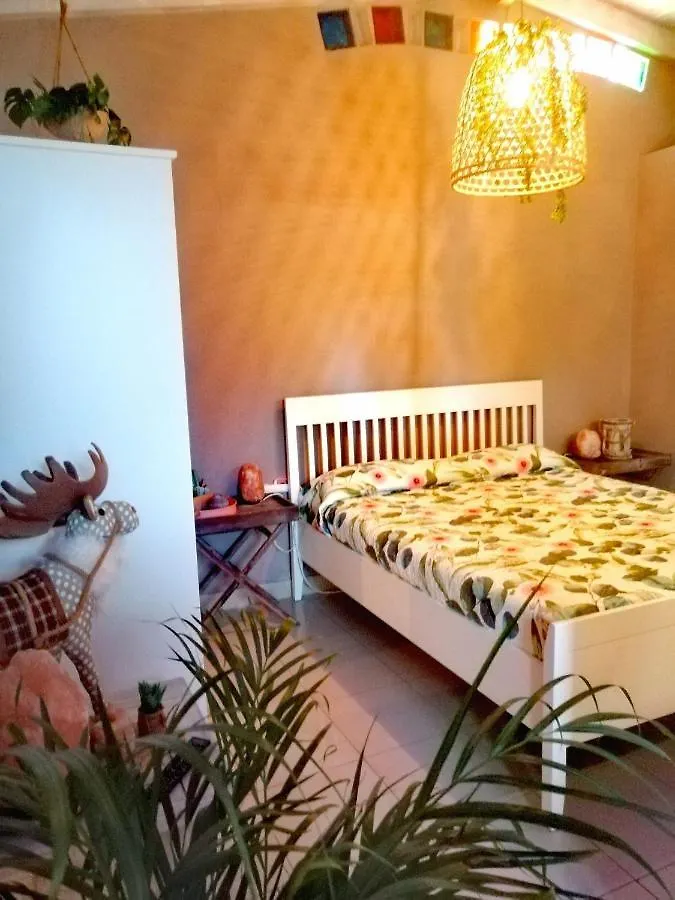 Vivienda Vacacional Vaiana Las Rosas  0*, Las Rosas (Arona, Tenerife)
