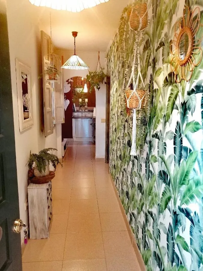 Vivienda Vacacional Vaiana Las Rosas  Las Rosas (Arona, Tenerife)